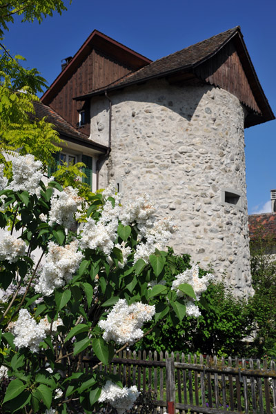 Medieval tower, Stein an Rhein