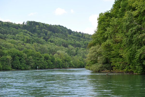 Green section of the Rhine between Stein am Rhein and Diessenhofen