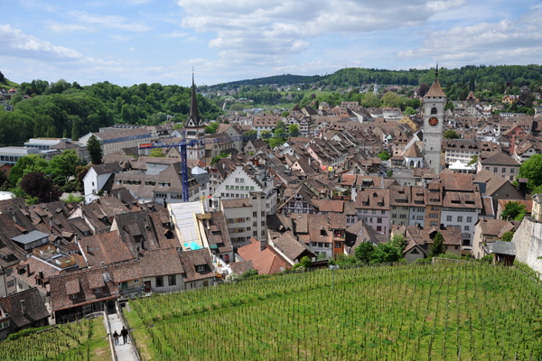 Vineyards on the slopes of the Munot with Schaffhausen's Altstadt