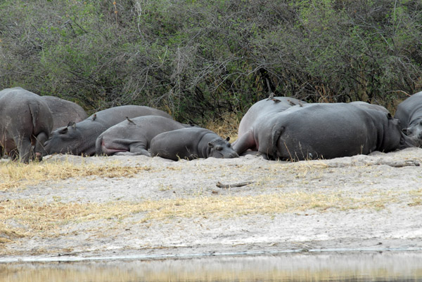 BotswanaJun12 0126.jpg