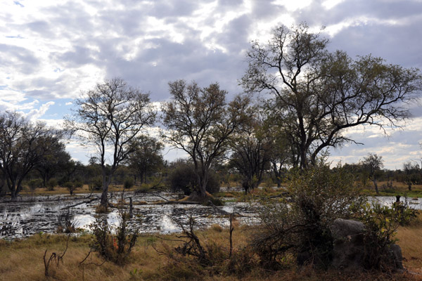 BotswanaJun12 0264.jpg