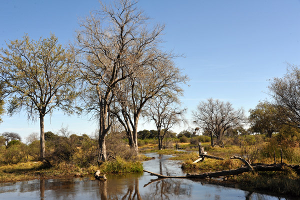 BotswanaJun12 0638.jpg