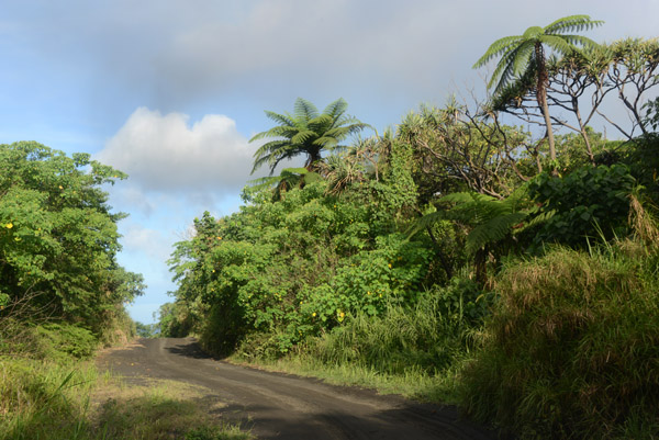 East Coast road, Tanna