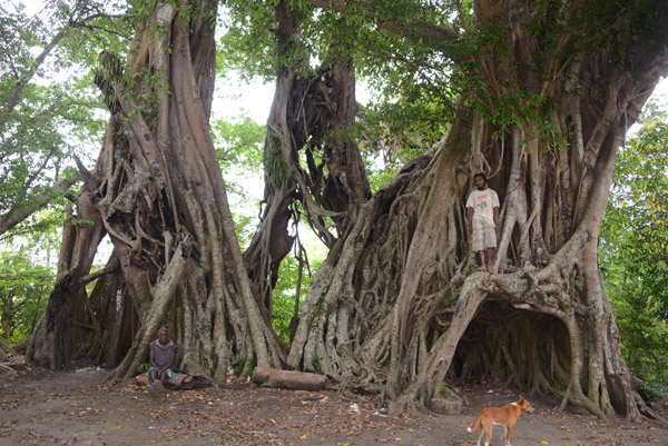 Village Green of a small settlement of inland Tanna