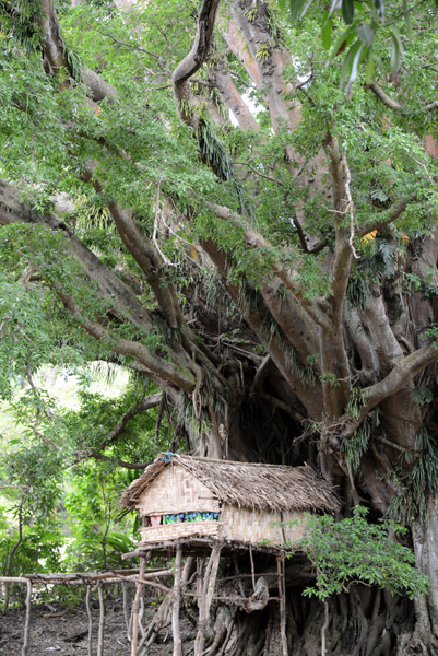 Treehouse, Tanna, Vanuatu