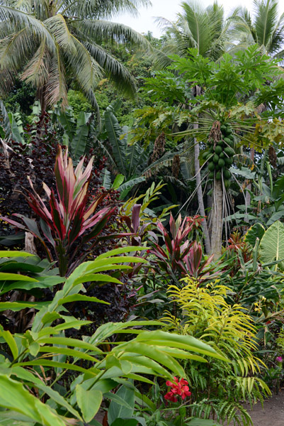 Botanical garden, Tanna