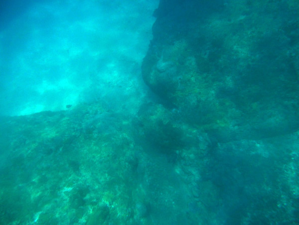 VanuatuDiveOct12 0677.jpg