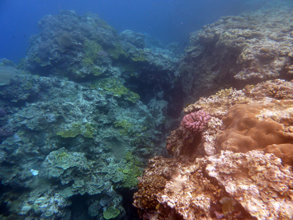 The water is clear but there are not many fish