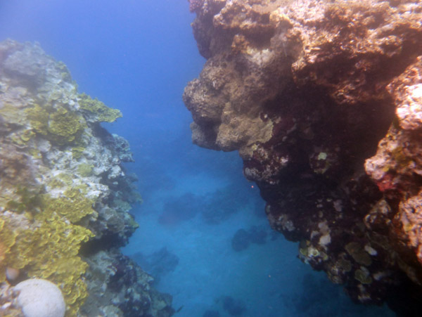 Deep blue depths beyond the reef