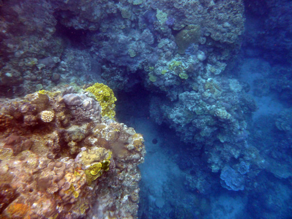 The reef off the Tanna Evergreen Resort