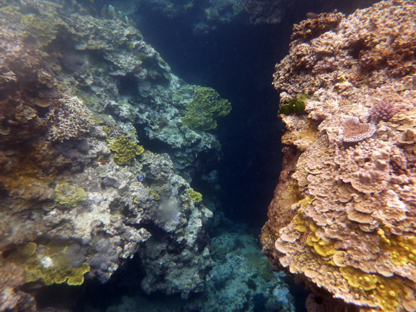 Narrow canyons penetrate the reef