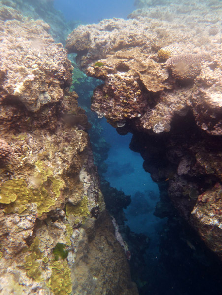 Narrow swim-through on the reef