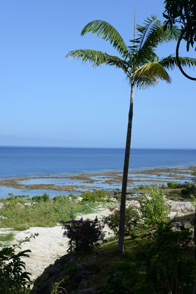 Tanna Evergreen Resort