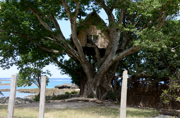 A tree house by the beach, Lenakel