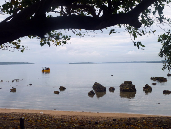 The site of the wreck of the S.S. President Coolidge, Santo