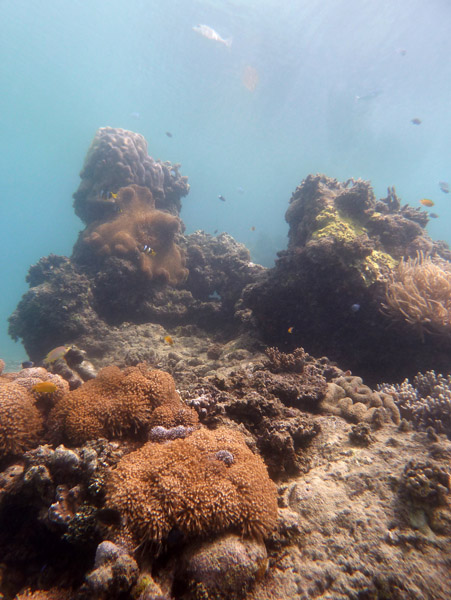 Reef near the Coolidge wreck