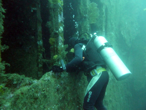 Peering into the wreck of the Coolidge