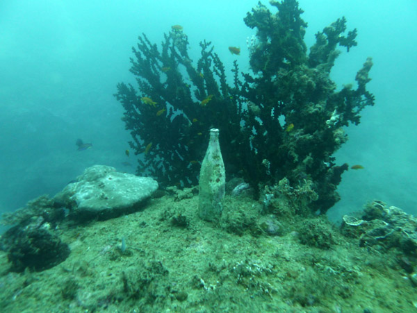A 70 year old bottle set upright on the wreck
