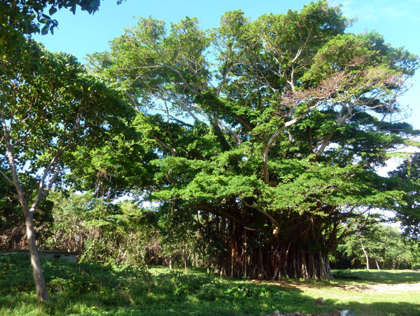 On land, Million Dollar Point