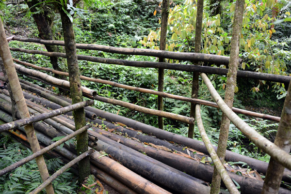 The Bamboo Bridge