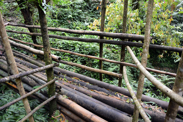 The Bamboo Bridge
