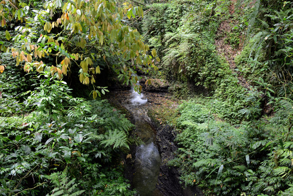 Stream beneath the Bamboo Bridge