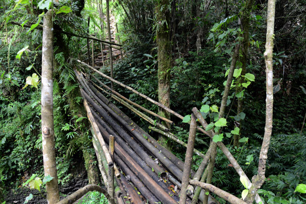 Bamboo Bridge, Santo-Vanuatu
