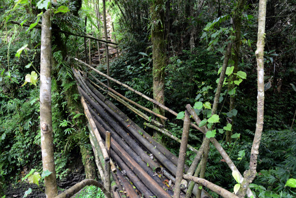 Bamboo Bridge, Santo-Vanuatu