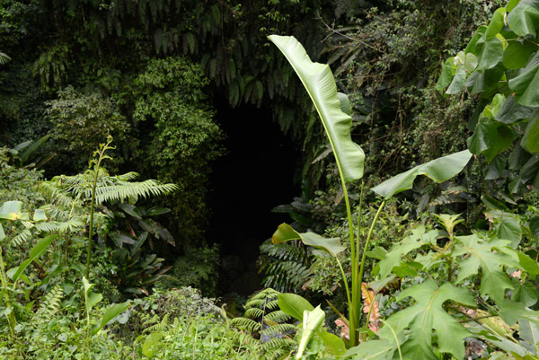 The mouth of Millennium Cave