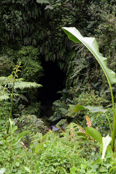 Millennium Cave