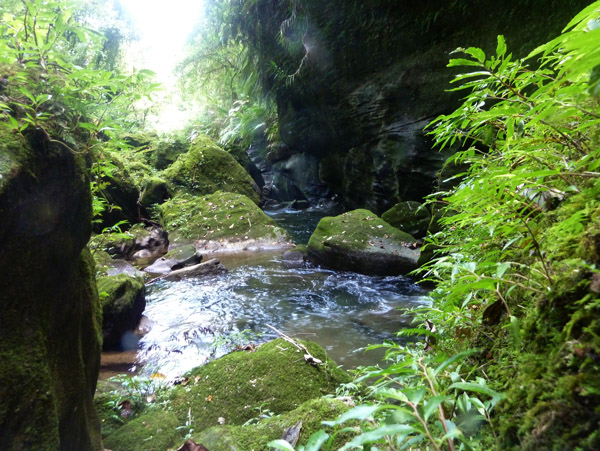 Tropical canyoning