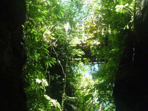 A bamboo bridge crosses the narrow canyon