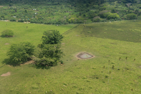 Cattle Ranch with a small waterhole, Efat-Vanuatu