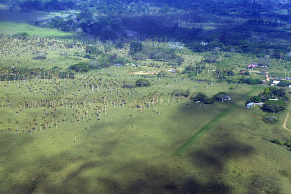 Farmland, Efat-Vanuatu