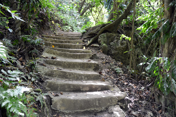 Stairs on the trail leading up to Mele Cascades