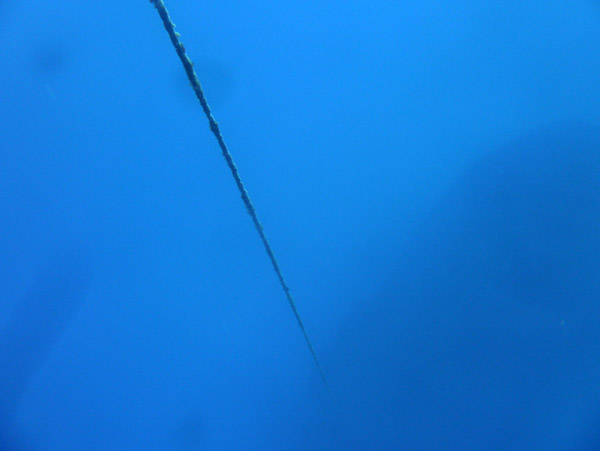 Descending the mooring line to the wreck of the M/V Semle Federsen