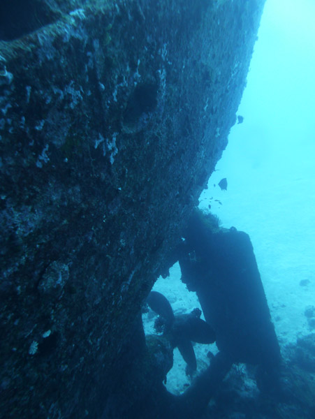 Stern of the Semle Federsen