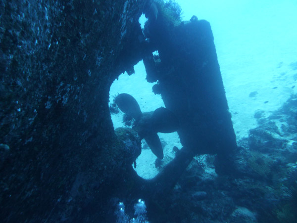 Propeller and rudder of the Semle Federsen, 35m