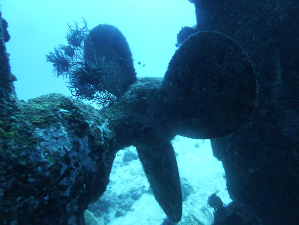 Apparently the wreck was originally scuttled in shallower water, but has shifted along the steeply sloping bottom