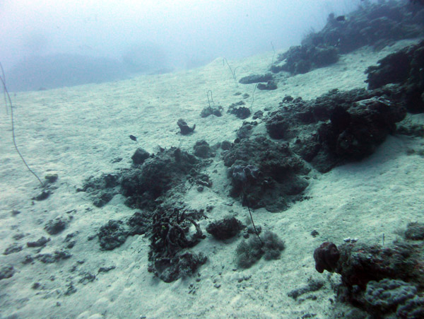 Sandy bottom of Vila Bay