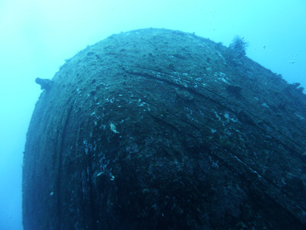 Looking up at the stern of the Semle Federsen wreck