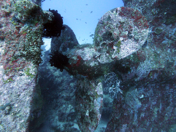 Propeller of the Semle Federsen