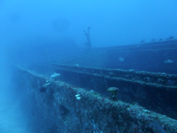 Cargo hold looking forward