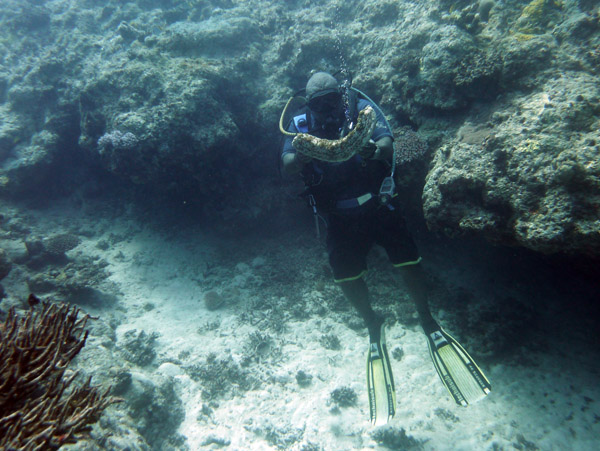 Dive master with a sea slug