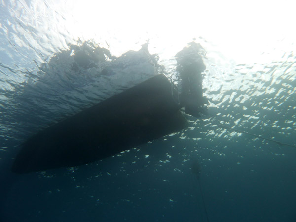 The dive boat on the surface