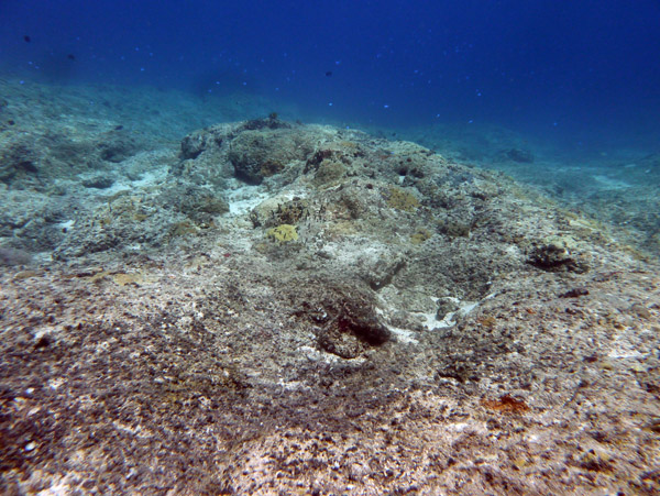 Beneath Vila Bay, Efaté-Vanuatu