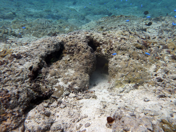 Beneath Vila Bay, Efaté-Vanuatu