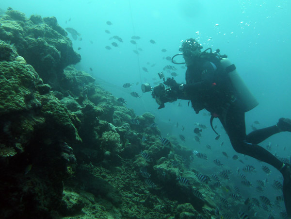 Diver with camera repositioning for the second feeding