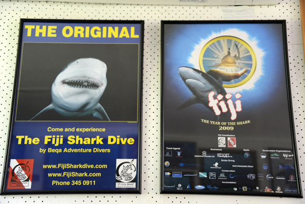 The Original Fiji Shark Dive by Beqa Adventure Divers