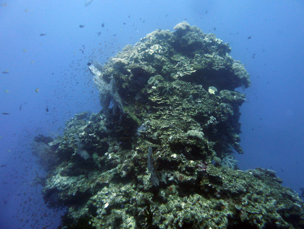 FijiDiveOct12 550.jpg